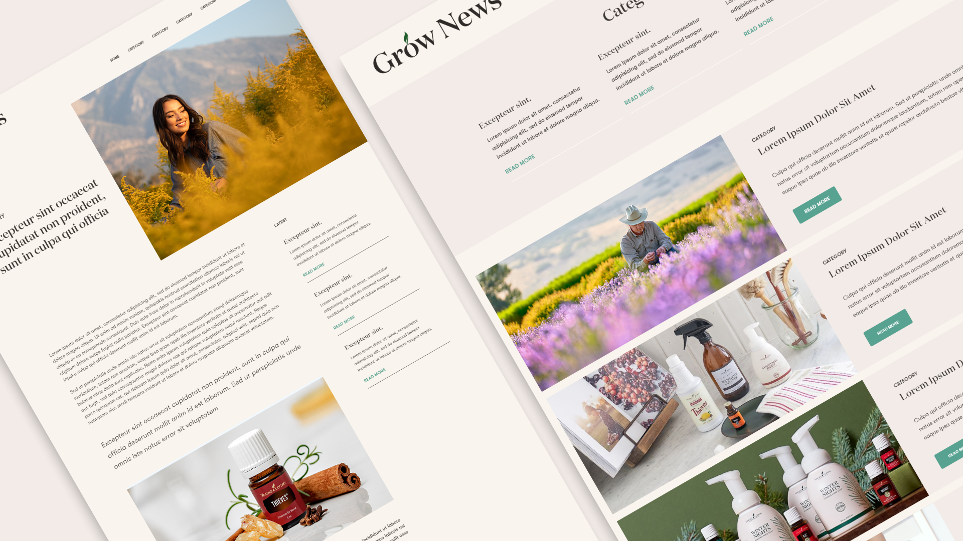 Young Living, Web Design & Development